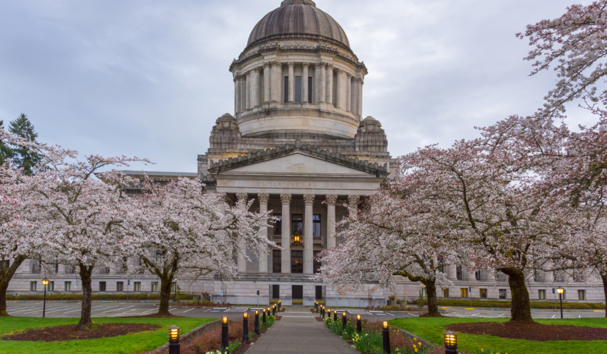A photo of the Washington state capitol building. The sky is cloudy and the trees in front of the building are in full flower bllom.